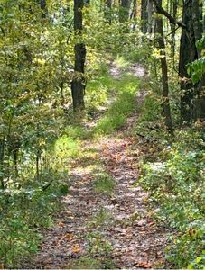 5150 Indian Run Rd, Salem, WV, 26426