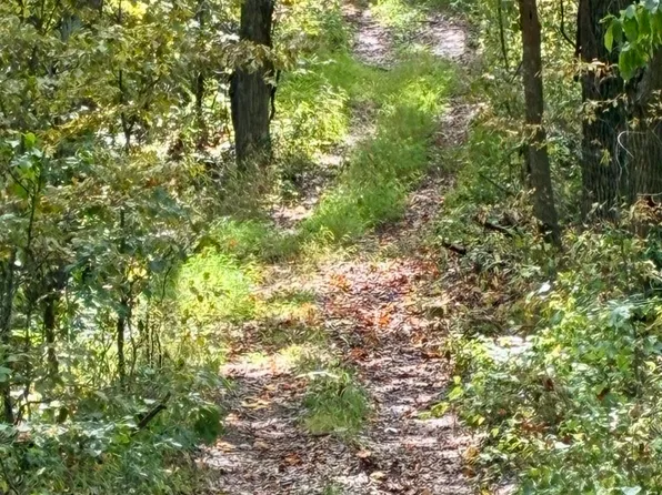 5150 Indian Run Rd, Salem, WV 26426