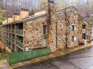 1435 Wiley Oakley Dr APT 161, Gatlinburg, TN 37738