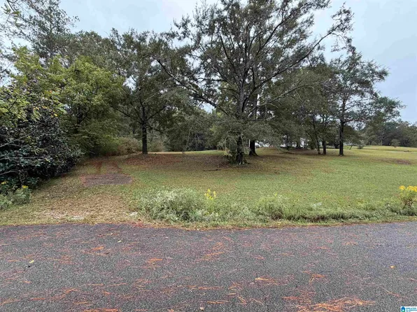 96 Hubbard Rd, Sylacauga, AL 35150