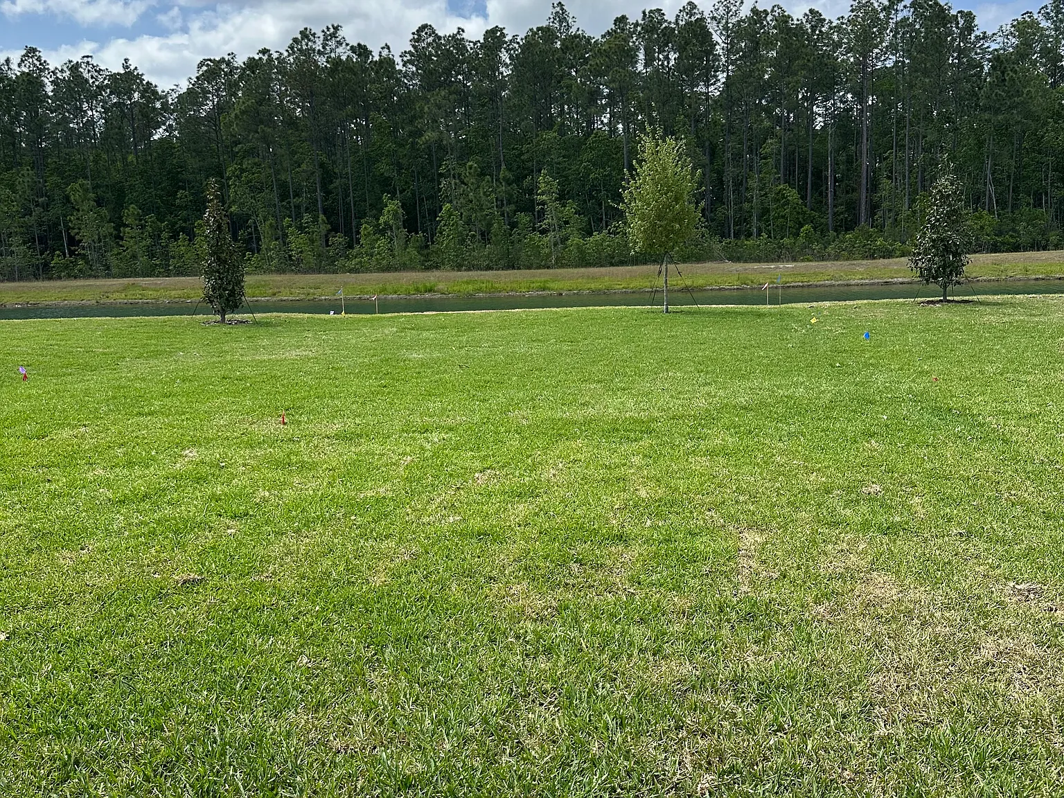 3 bed, 2300 sqft, $3,775 — Photo 3