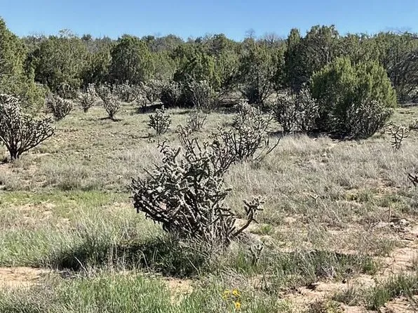 65 Las Colinas Rd, Edgewood, NM 87015