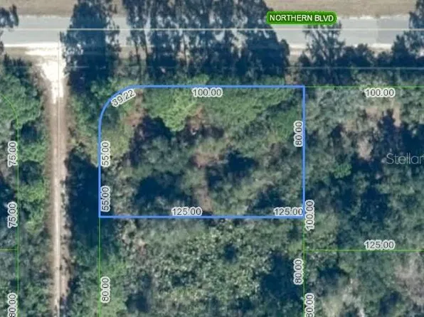 1265 KUMQUAT STREET LOT 21, LAKE PLACID, FL 33852