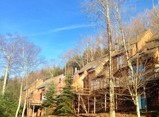92 Brainard Ridge Rd #5C, Windham, NY 12496