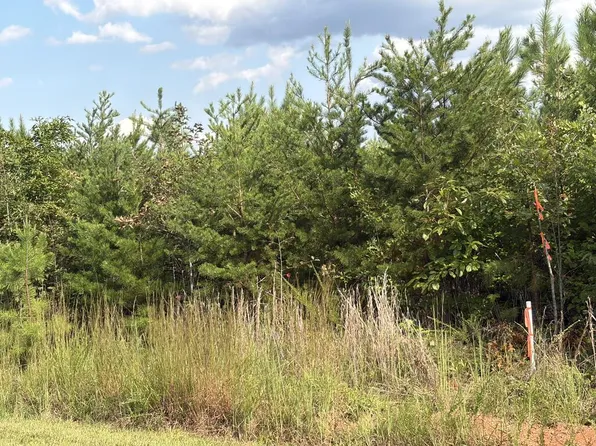 2022 Ashcake Creek Rd, Scottsburg, VA 24589