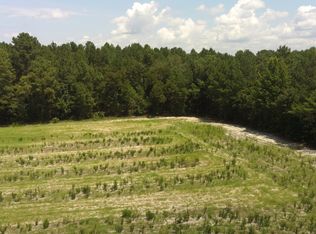 829-0 Whittington Rd, Bunnlevel, NC 28323