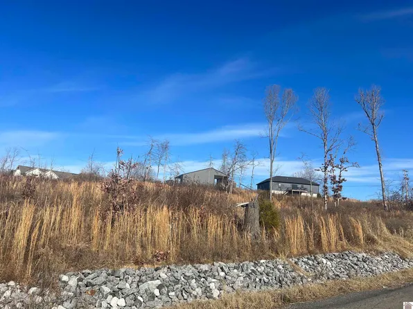 147 Cambridge Shores Dr, Gilbertsville, KY 42044