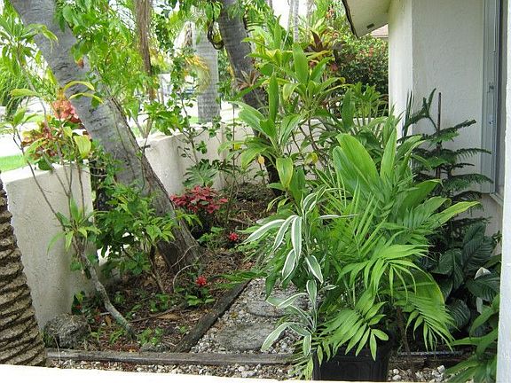 front entry plants