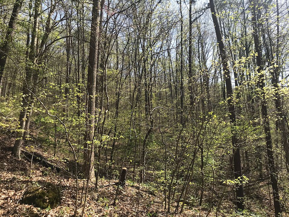 2nd image of Lakeview Ln