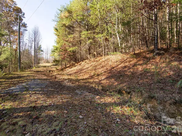 99999 Big Raven Ln, Saluda, NC 28773
