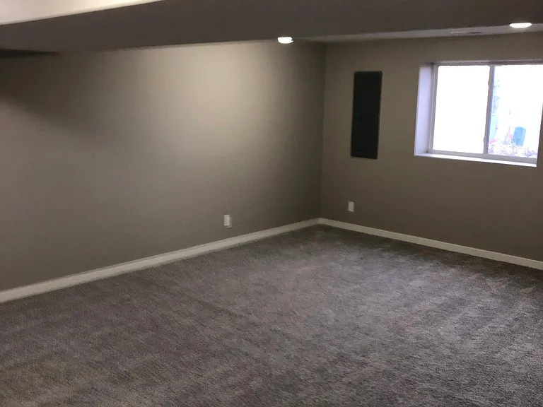 Basement Living Room