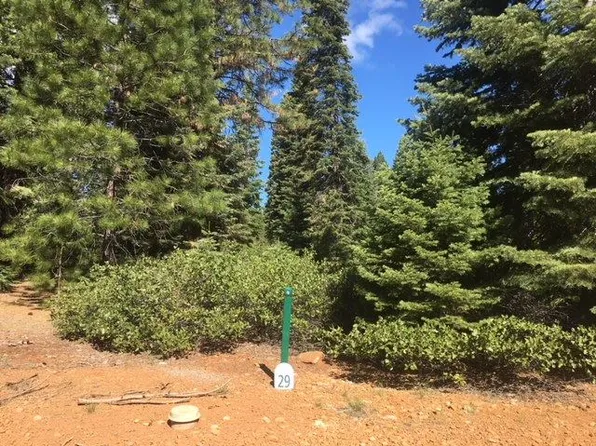 228 Blue Fox Dr, Westwood, CA 96137