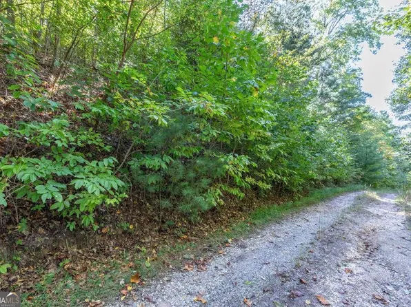 L2&3 Crab Apple, Blairsville, GA 30512