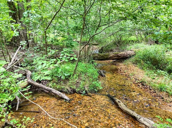 Mulky Branch Ln, Blairsville, GA 30512