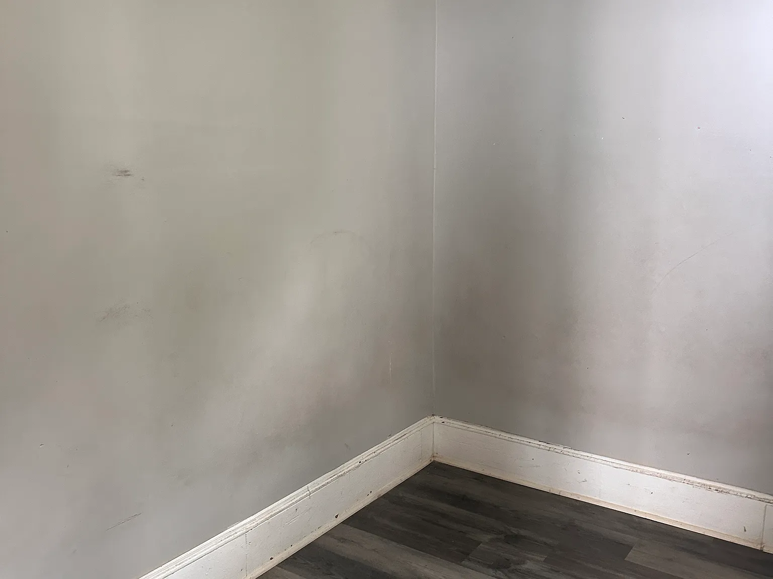 2 bed, $950 — Photo 3