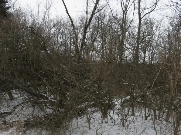 0 Johnston Rd, Sidney, OH 45365