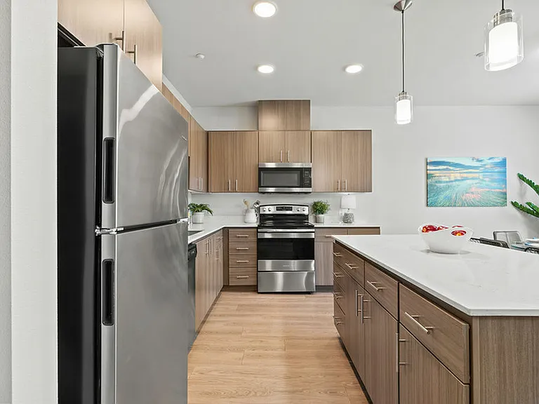 Stainless Steel Appliances