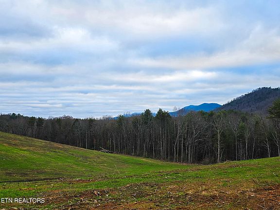 5th image of Creek Rd