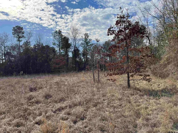 Highway 84 West Trl #5, Reklaw, TX 75784