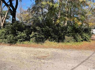 Tbd Fraser Aly, Georgetown, SC 29440