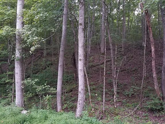 2nd image of 0 McFarlin Ln