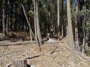 2470 Fern Rdg, Quincy, CA 95971