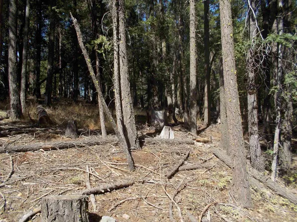 2470 Fern Rdg, Quincy, CA 95971