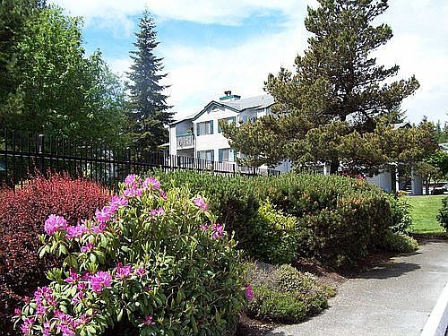Spring Grounds