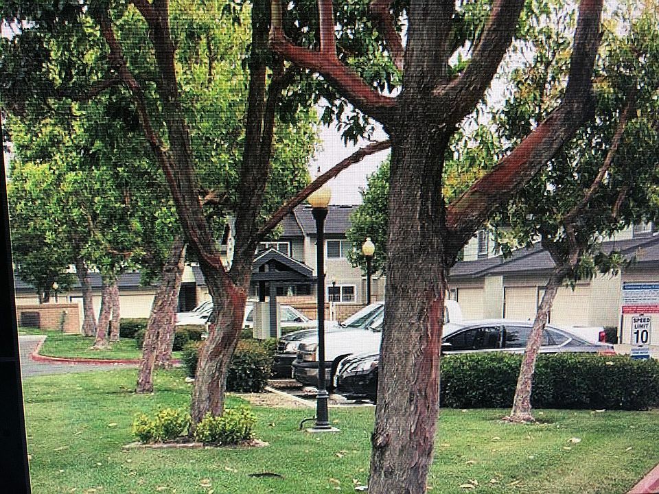 trash disposal and mail box in the common area.
