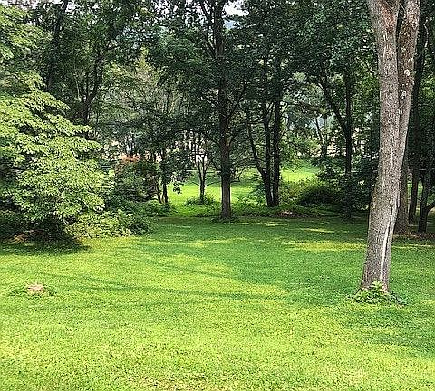 Expansive wooded
lot