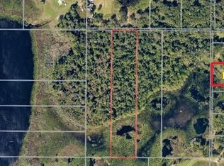 Bloomfield Ave PARCEL 4, Yalaha, FL 34797
