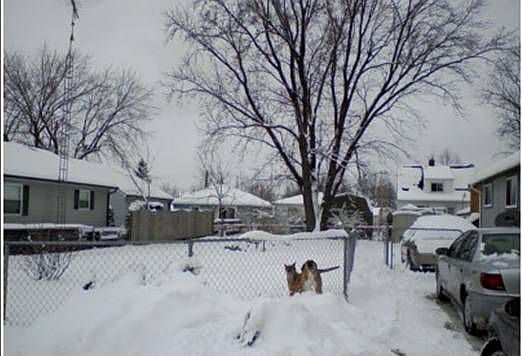 2nd image of 2057 E Williamson St