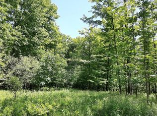 0 Scipio Rd #19, Nunda, NY 14517