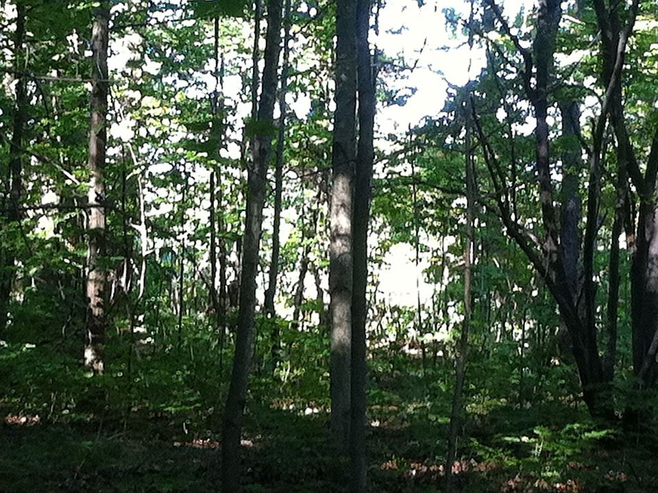 2nd image of 2143 N Creek Rd
