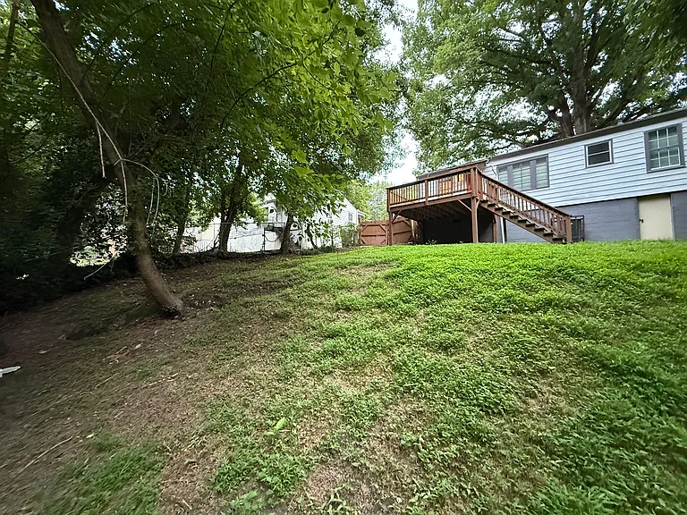 Backyard 3