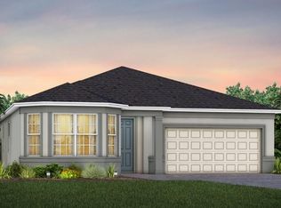 4652 Golden Birch Ave, Clermont, FL 34714