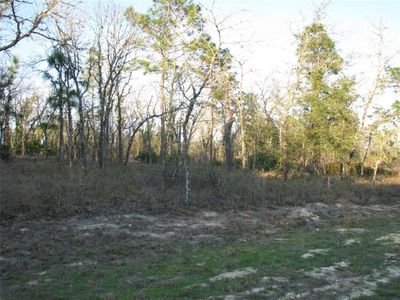 18 SW 62nd St LOT 18, Ocala, FL, 34479