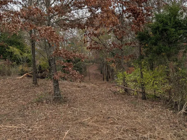 Lots 3 & 4 Midway Rd, Strawberry Plains, TN 37871