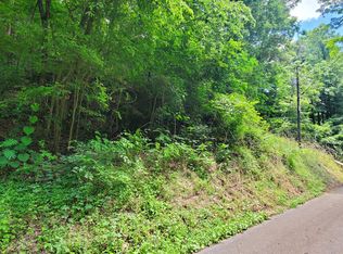 1310 Ogle Rd, Sevierville, TN 37876