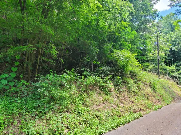 1310 Ogle Rd, Sevierville, TN 37876