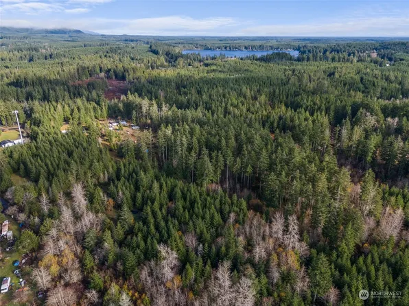 91 W Grizdale Drive, Shelton, WA 98584