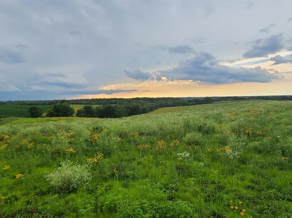 34553 Crystal Rd, Strawberry Point, IA 52076