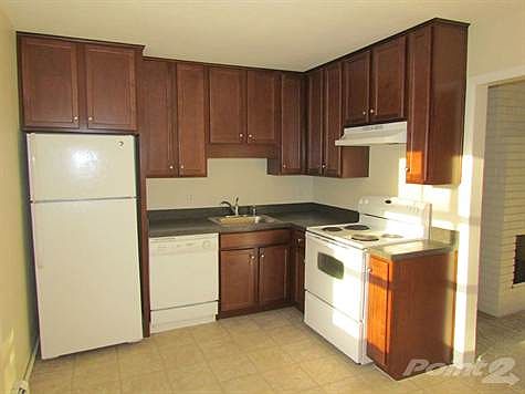 Modern kitchen with new appliances