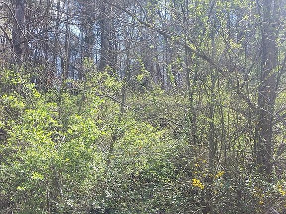 2nd image of 6108 Tazewell Pike