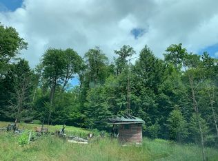 3210 Ellenton Mountain Rd, Roaring Branch, PA 17765