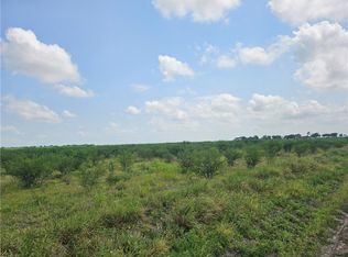 0 County Road 364, Sandia, TX 78383