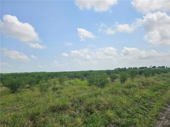 0 County Road 364, Sandia, TX 78383