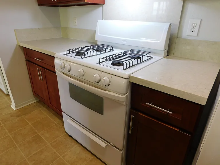 Gas range; range hood