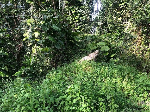 5th image of 15-2727 N Ohiki St Lot 7