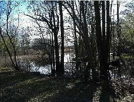 2nd image of 4855 Damascus Church Rd